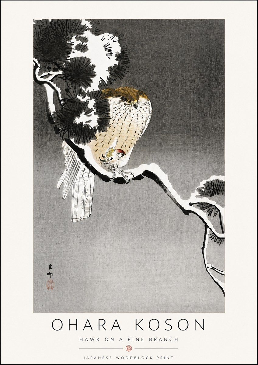 Ohara Koson Hawk on a Pine Branch No6 - Plakat