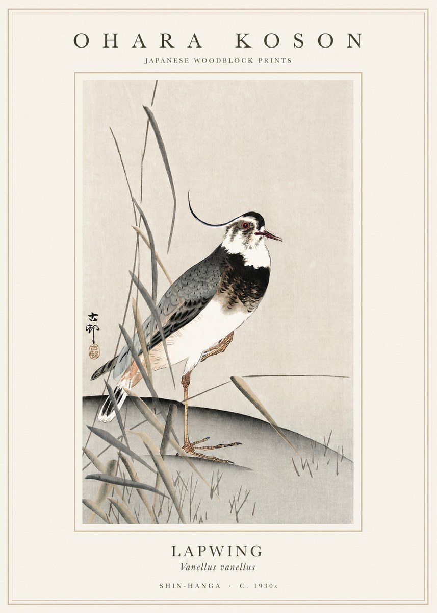 Ohara Koson Lapwing No1 - Plakat
