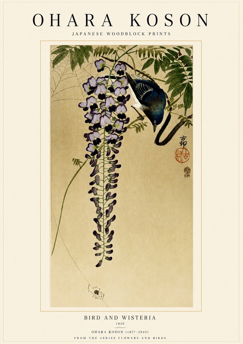Ohara Koson Bird and Wisteria No1 - Plakat
