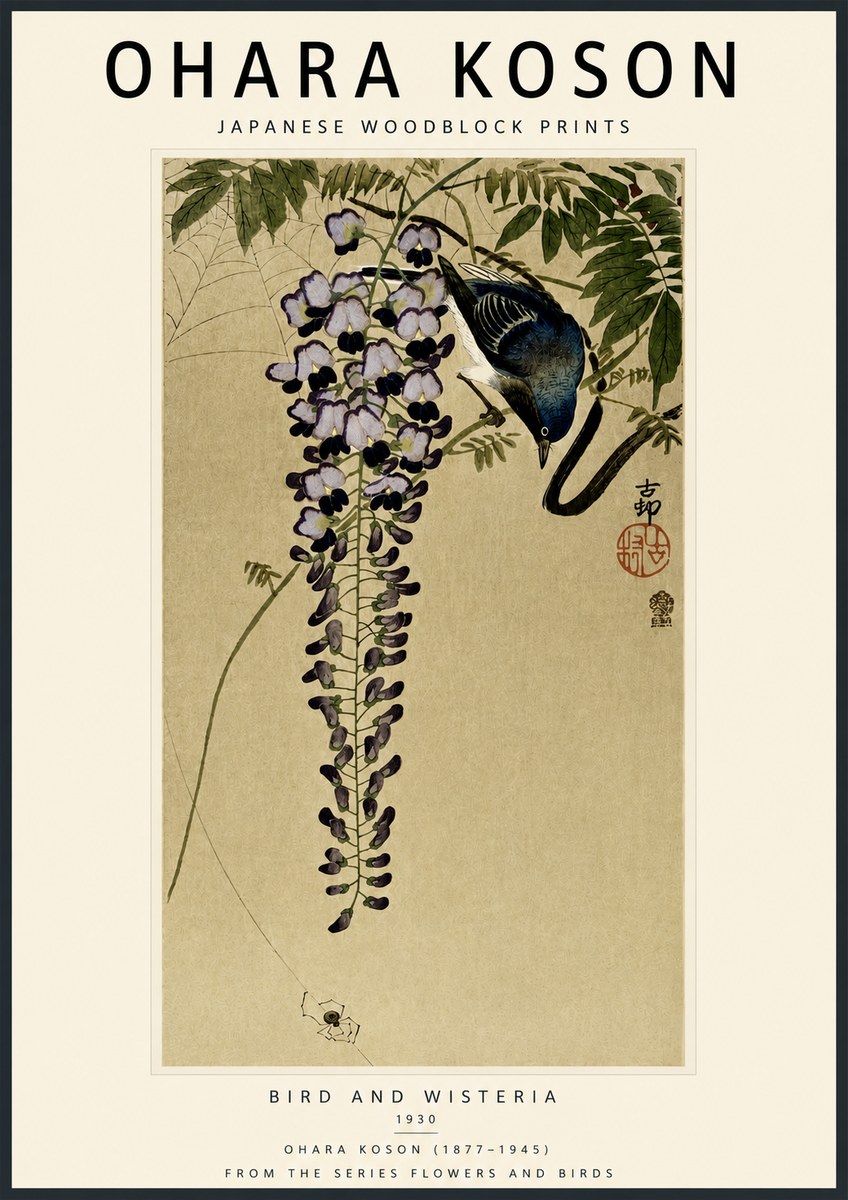 Ohara Koson Bird and Wisteria No5 - Plakat