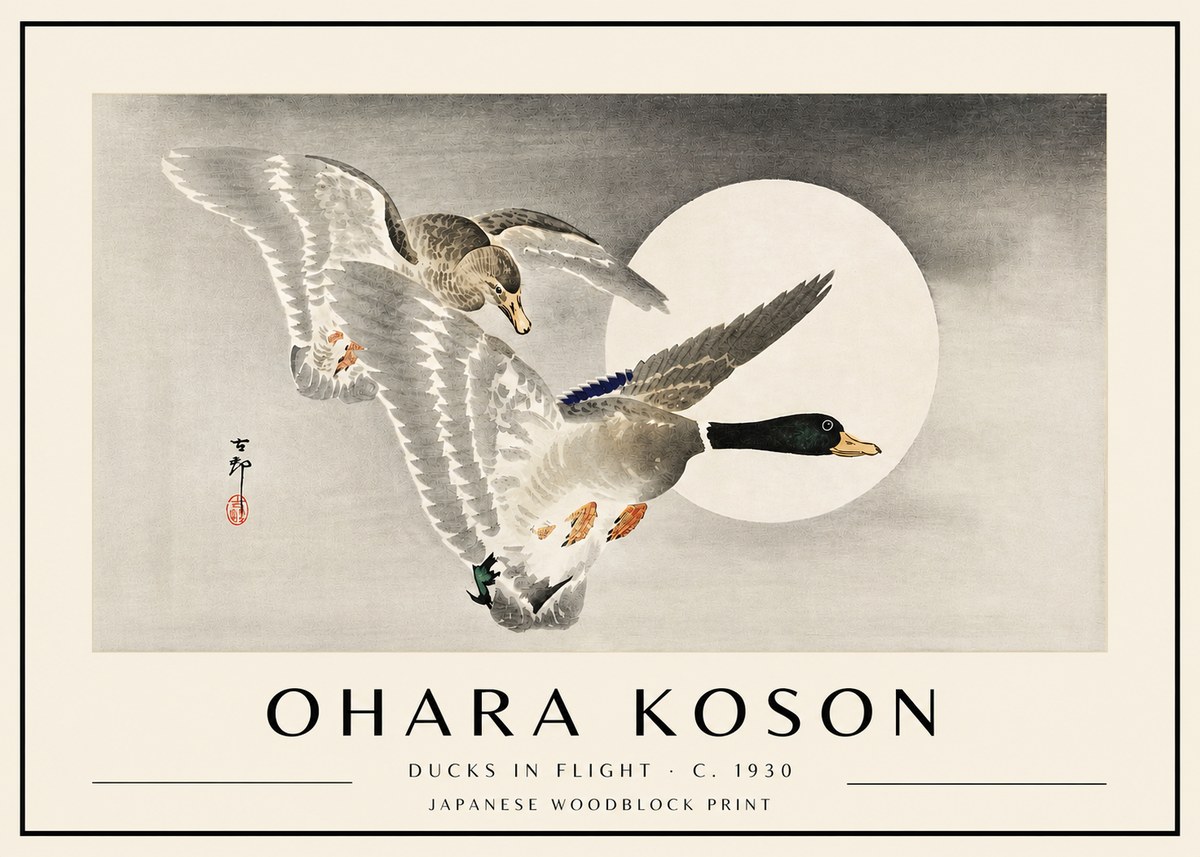 Ohara Koson Ducks in Flight No4 - Plakat