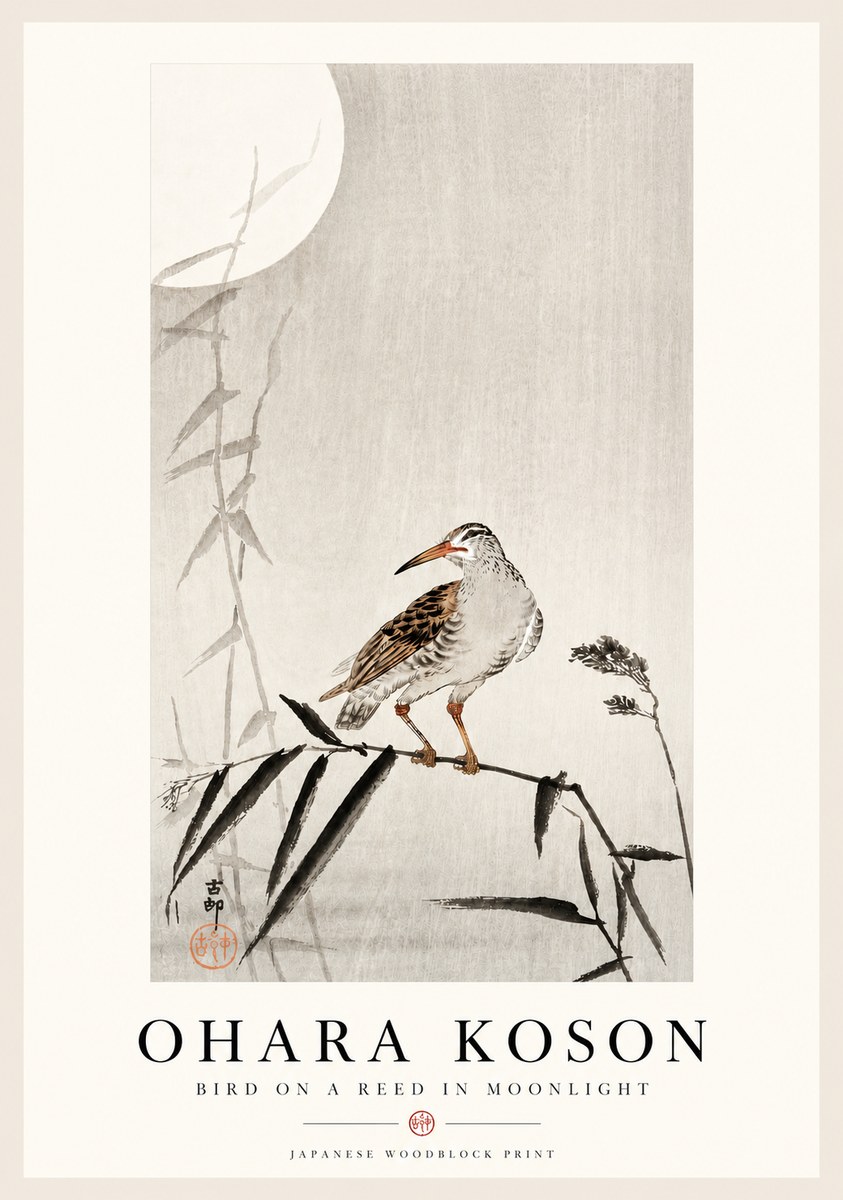 Ohara Koson Bird on a Reed in Moonlight No4 - Plakat