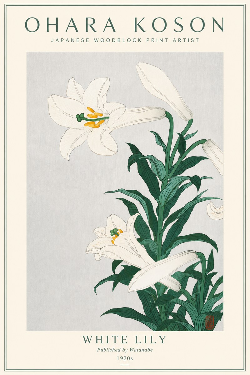 Ohara Koson White Lily No3 - Plakat