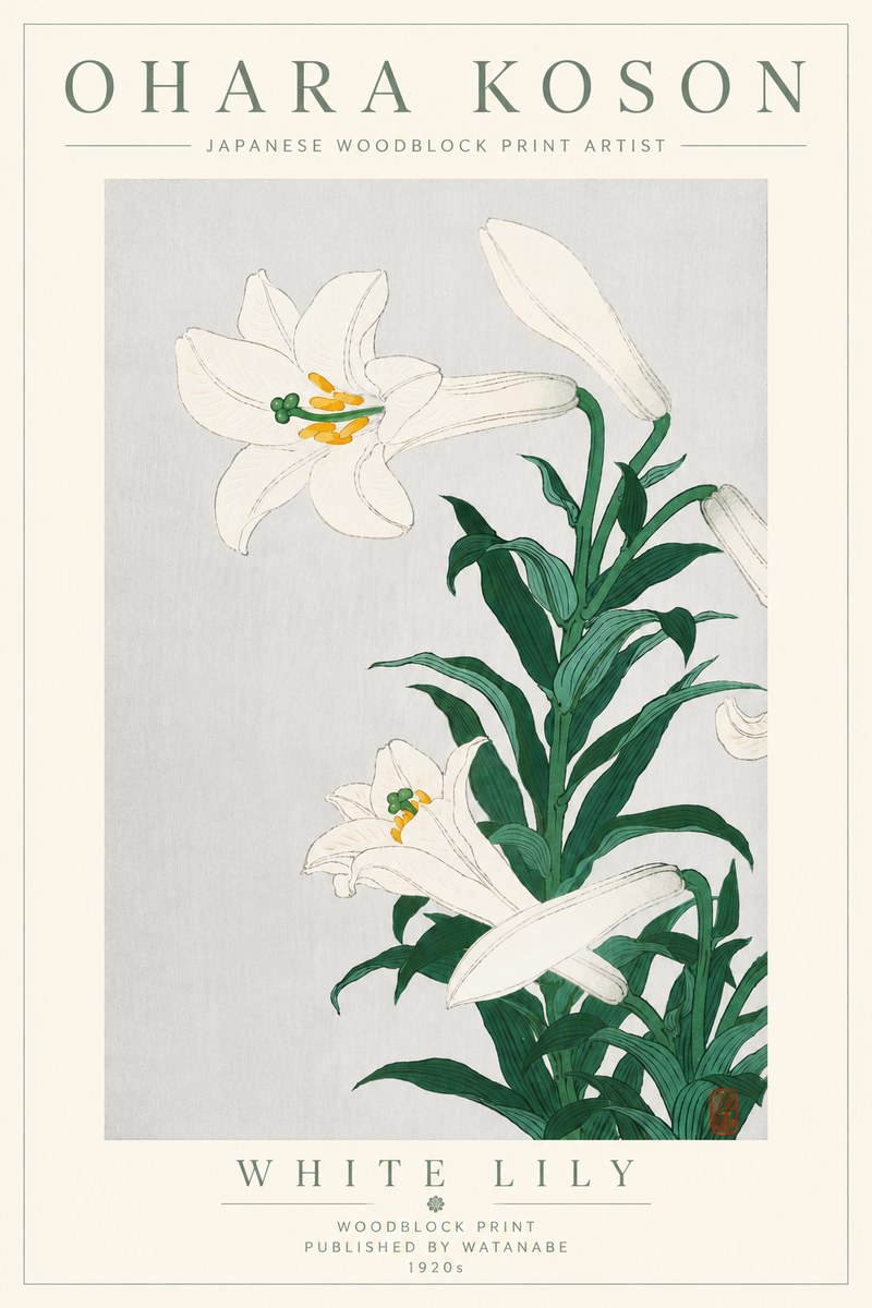 Ohara Koson White Lily No6 - Plakat