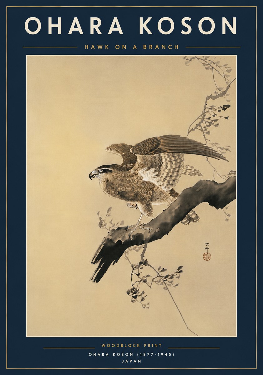 Ohara Koson Hawk on a Branch I No6 - Plakat