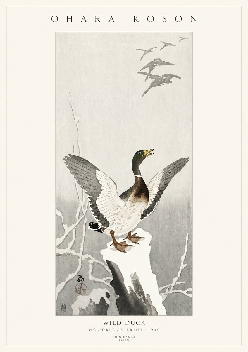 Ohara Koson Wild Duck No3 - Plakat