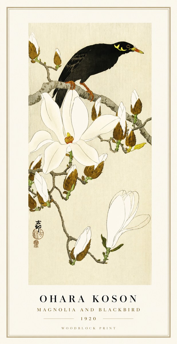 Ohara Koson Magnolia and Blackbird No1 - Plakat
