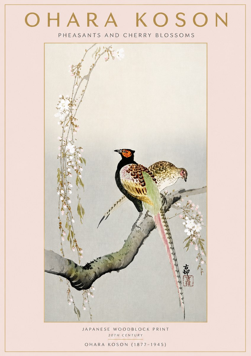 Ohara Koson Pheasants and Cherry Blossoms II No3 - Plakat