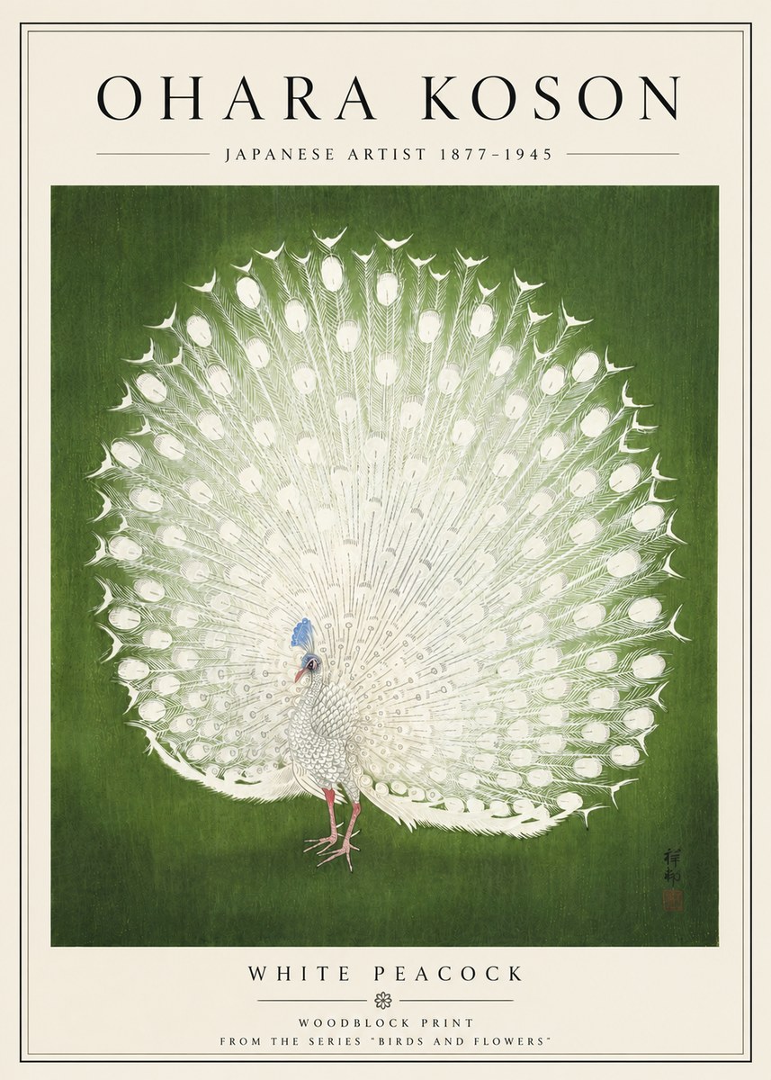 Ohara Koson White Peacock No5 - Plakat