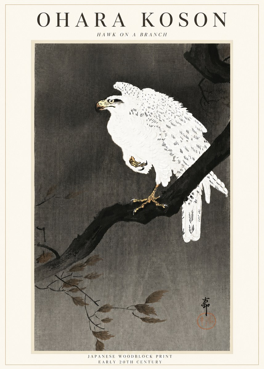 Ohara Koson Hawk on a Branch II No3 - Plakat