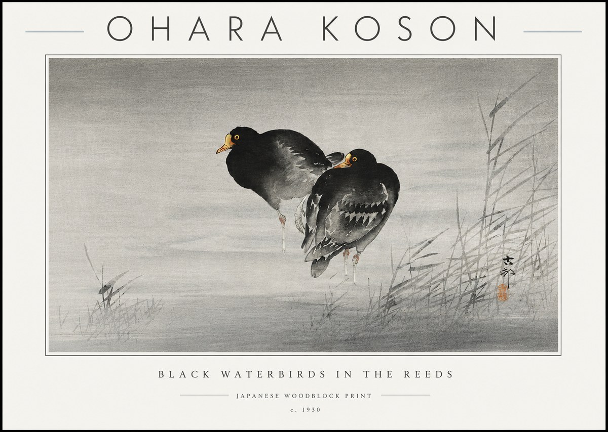 Ohara Koson Black Waterbirds in the Reeds No6 - Plakat