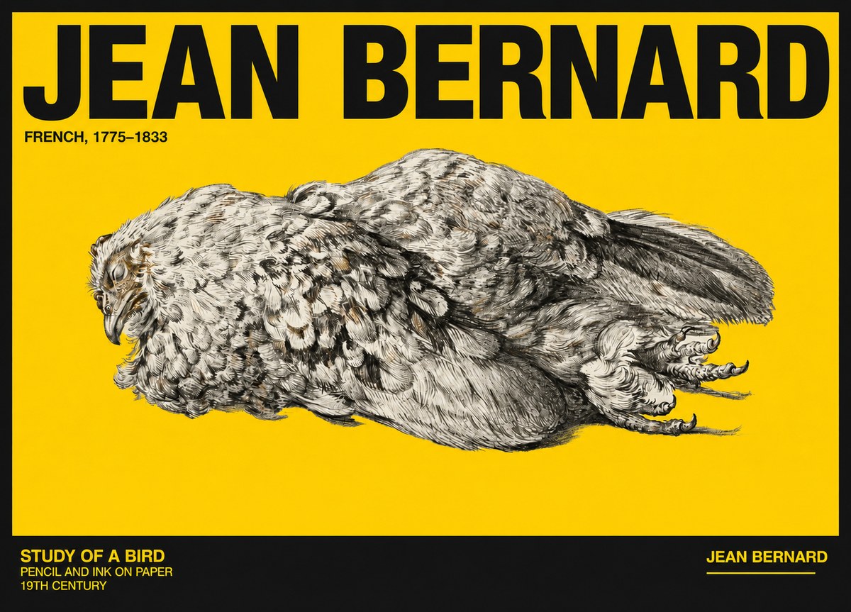 Jean Bernard Study of a Bird I No6 - Plakat
