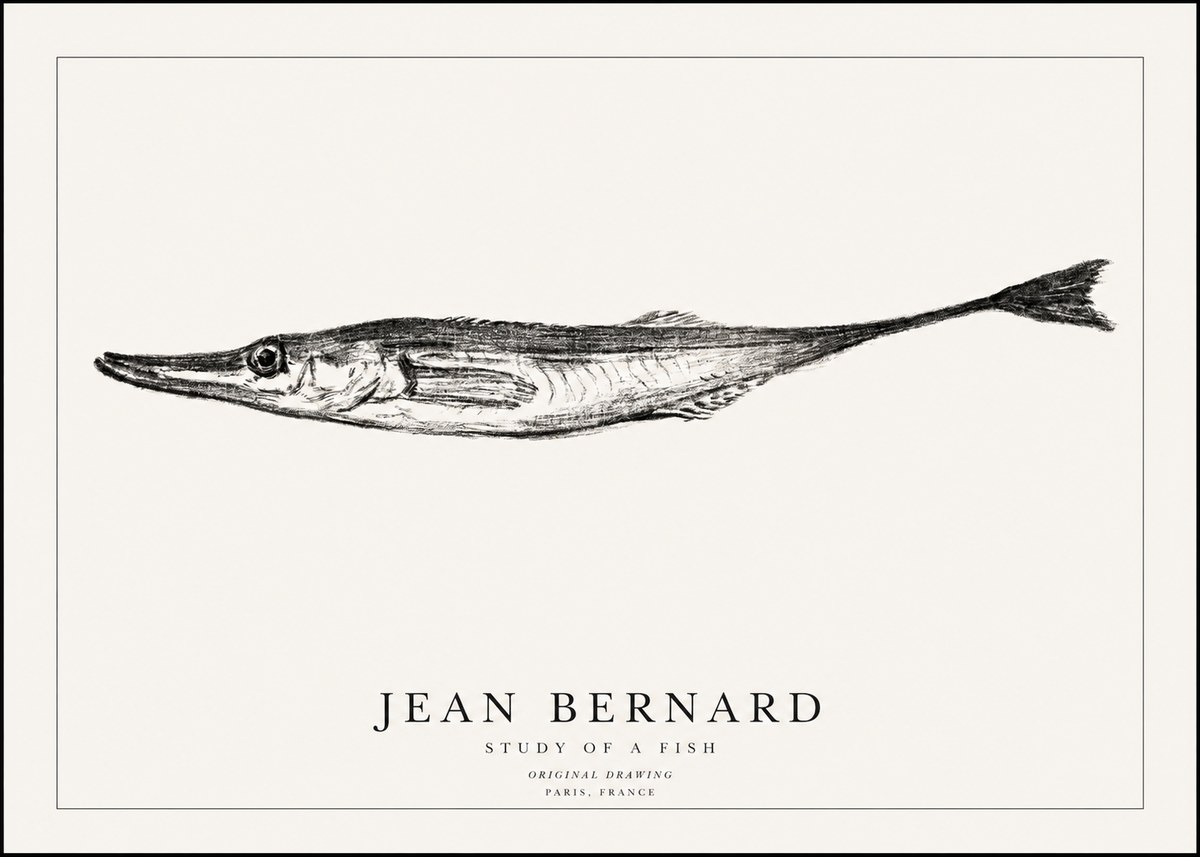 Jean Bernard Study of a Fish I No1 - Plakat