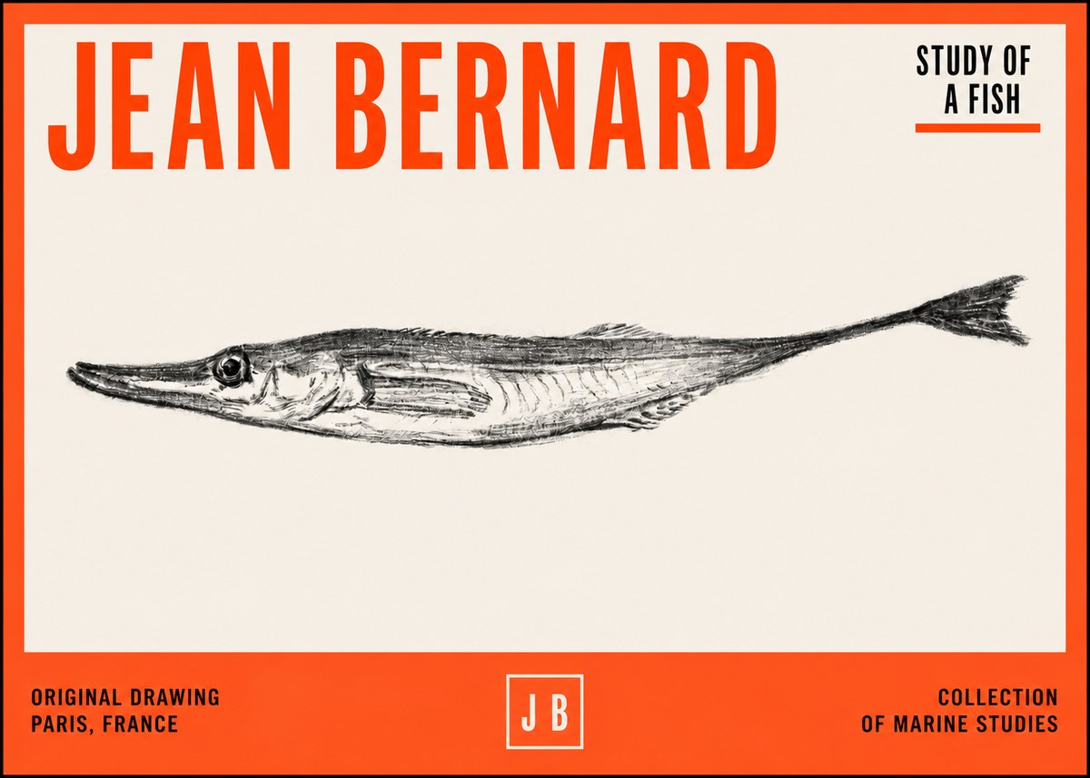 Jean Bernard Study of a Fish I No2 - Plakat