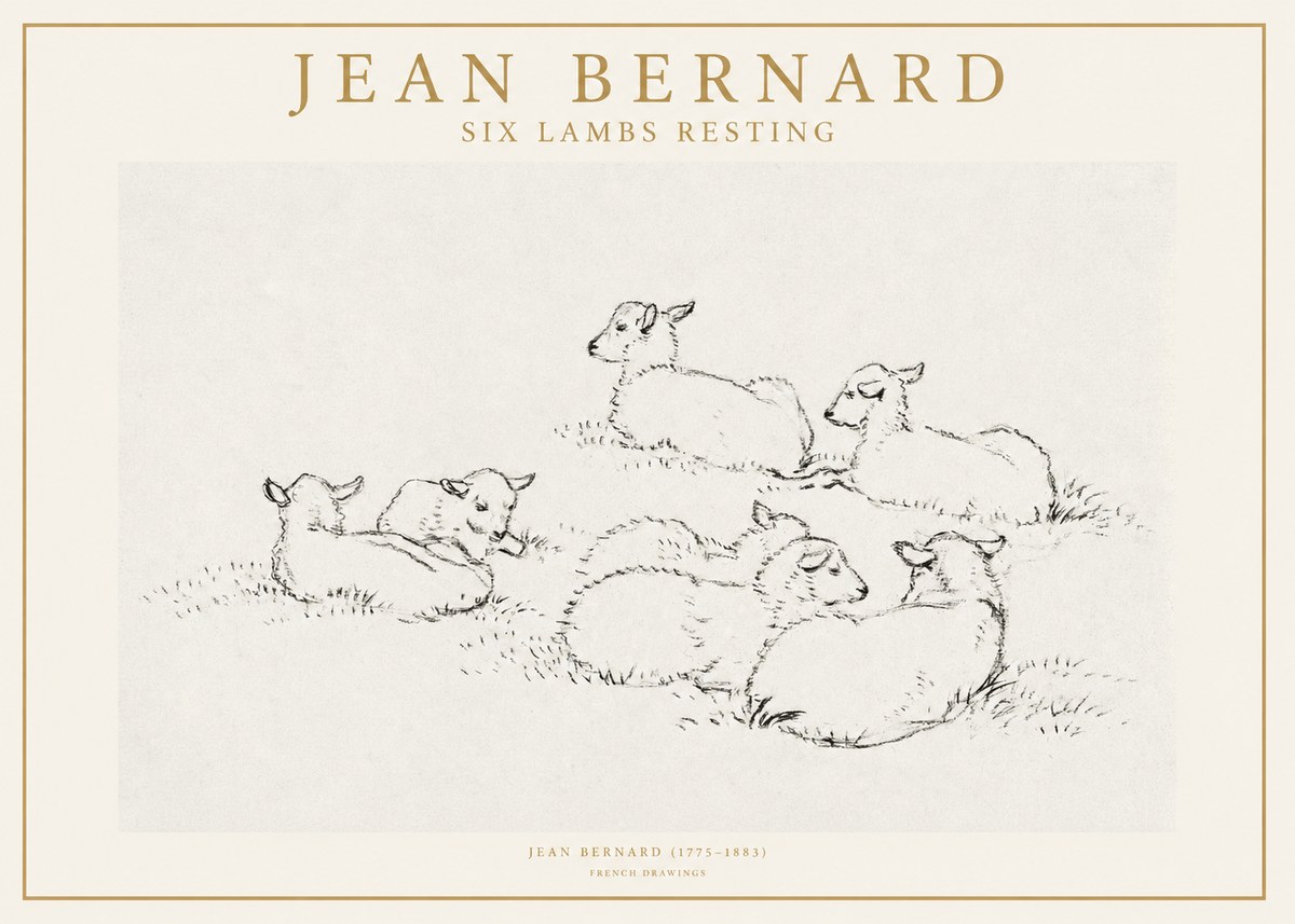 Jean Bernard Study of Lambs No2 - Plakat