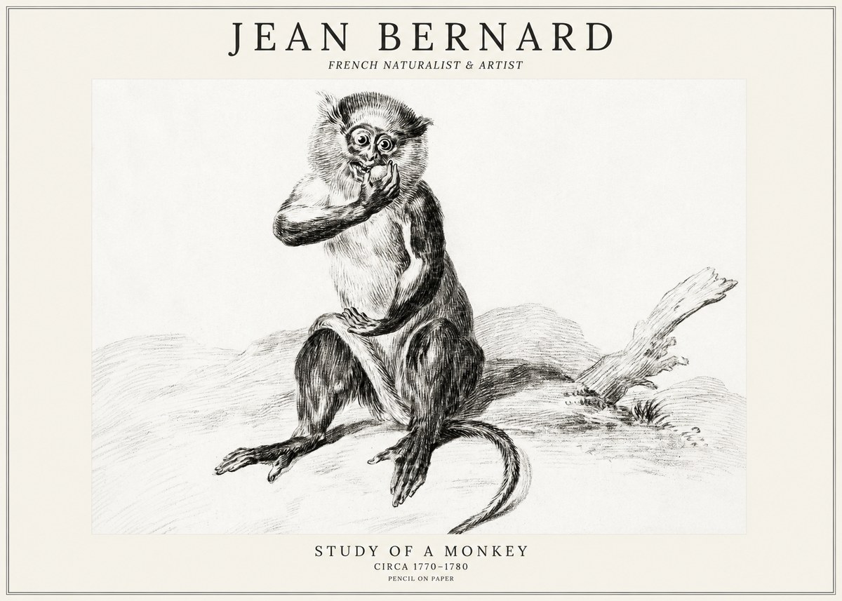 Jean Bernard Study of a Monkey No3 - Plakat