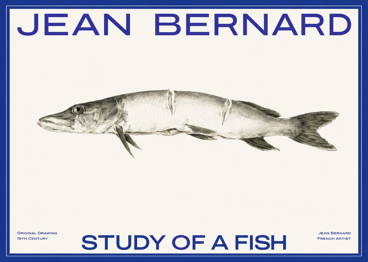 Jean Bernard Study of a Fish II No2 - Plakat