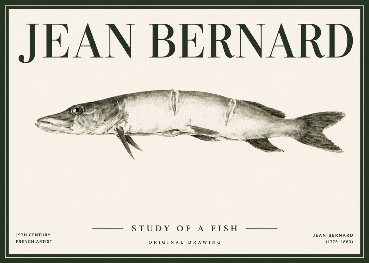 Jean Bernard Study of a Fish II No4 - Plakat