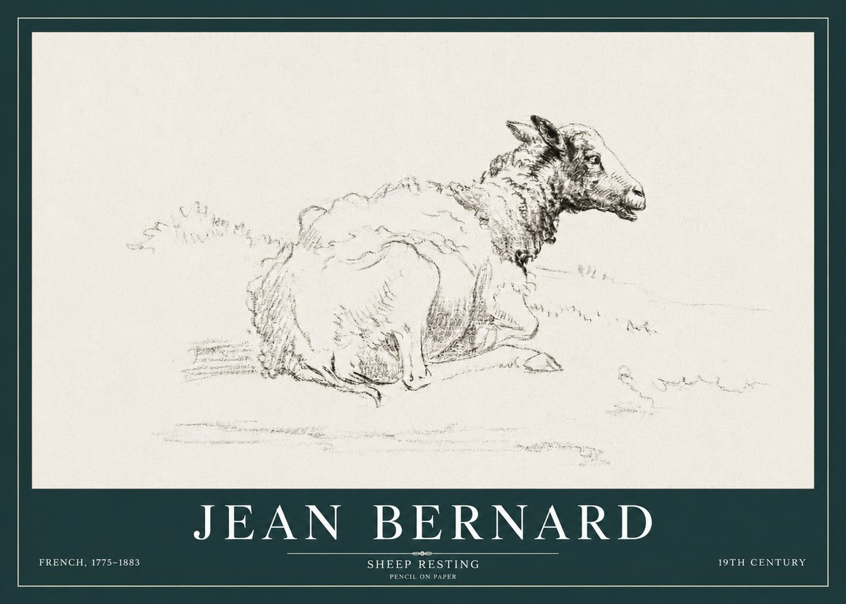 Jean Bernard Sheep Resting No3 - Plakat