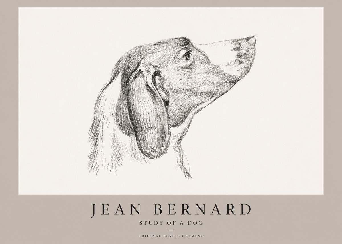 Jean Bernard Study of a Dog I No1 - Plakat