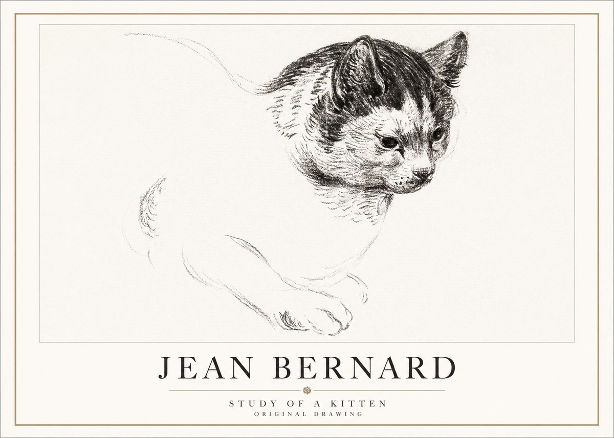 Jean Bernard Study of a Kitten I No5 - Plakat