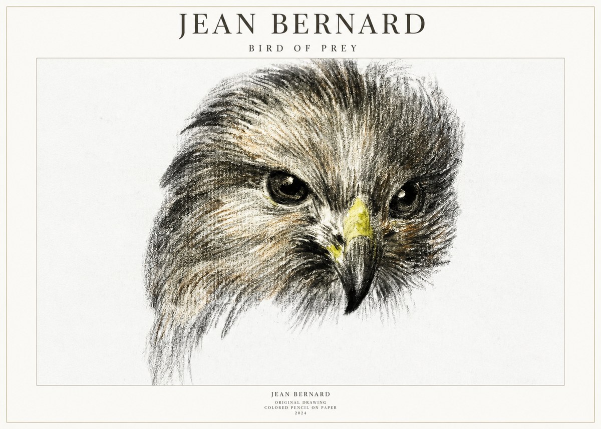 Jean Bernard Bird of Prey No1 - Plakat