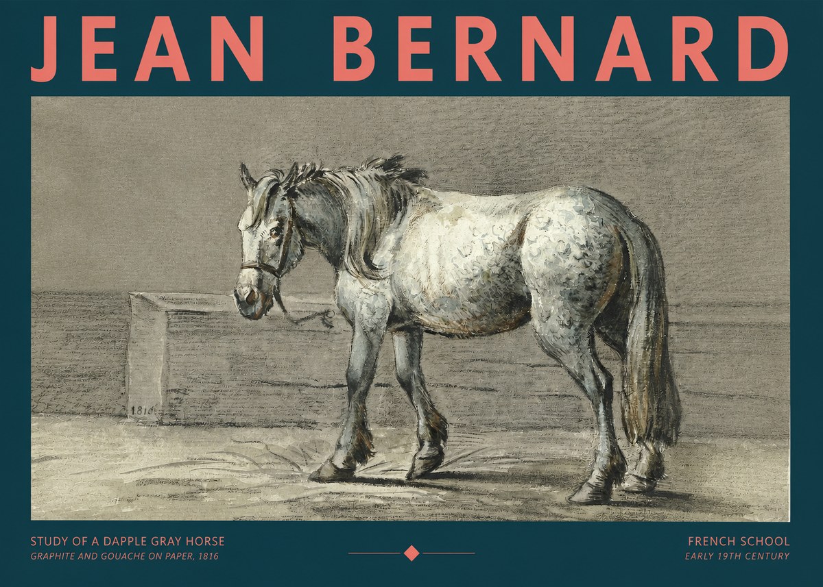 Jean Bernard Study of a Dapple Gray Horse No2 - Plakat