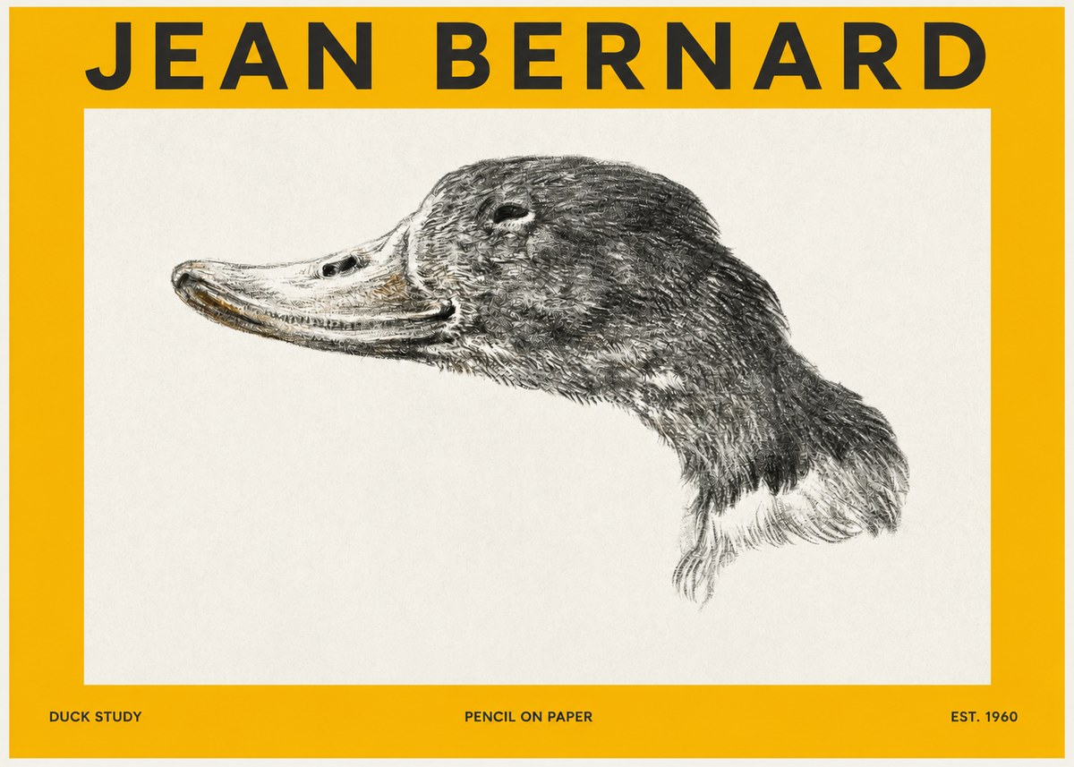 Jean Bernard Study of a Duck No3 - Plakat