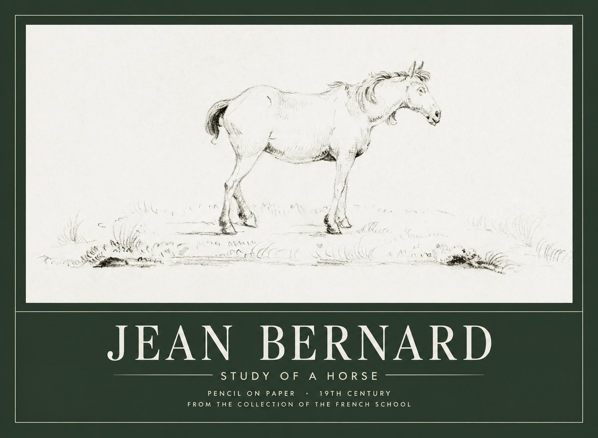 Jean Bernard Study of a Horse IV No1 - Plakat