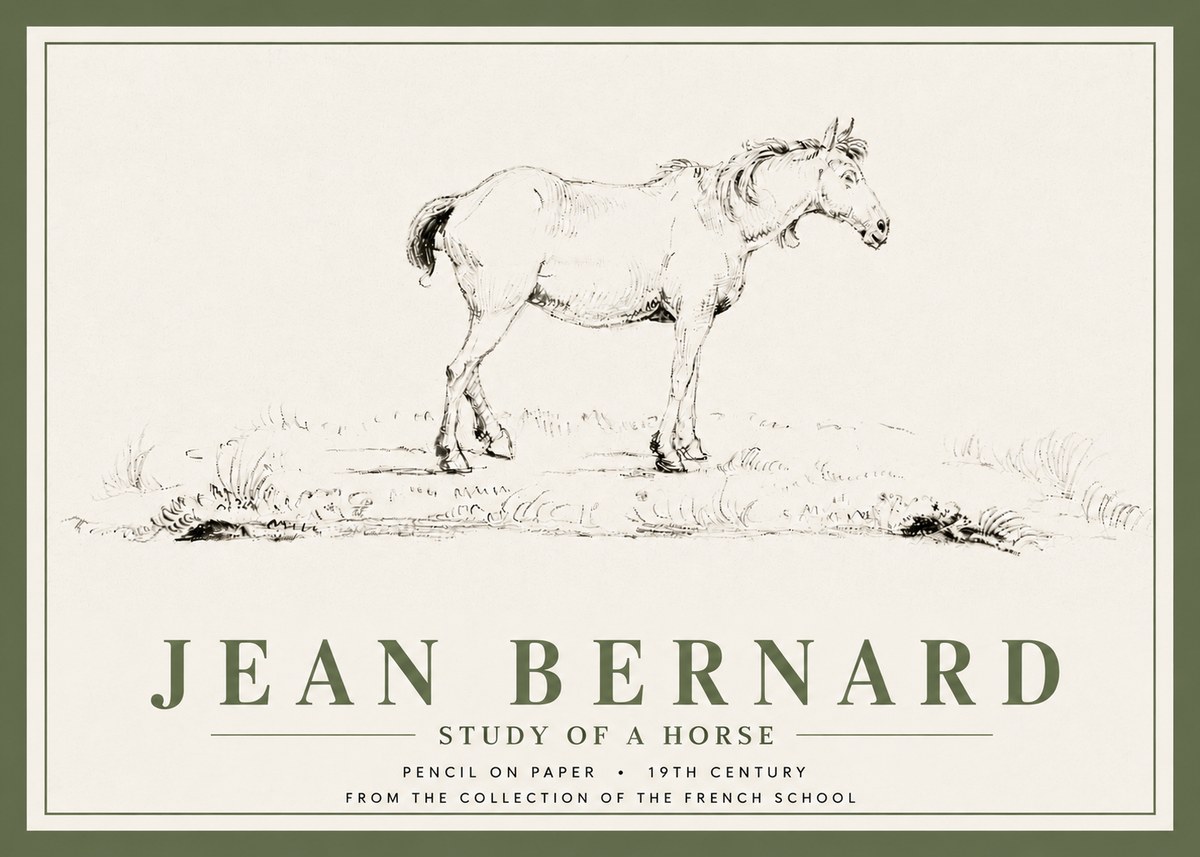 Jean Bernard Study of a Horse IV No5 - Plakat