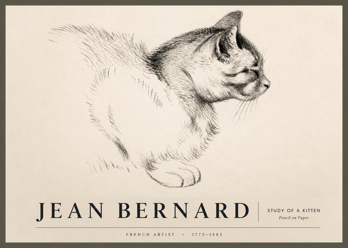 Jean Bernard Study of a Kitten II No2 - Plakat