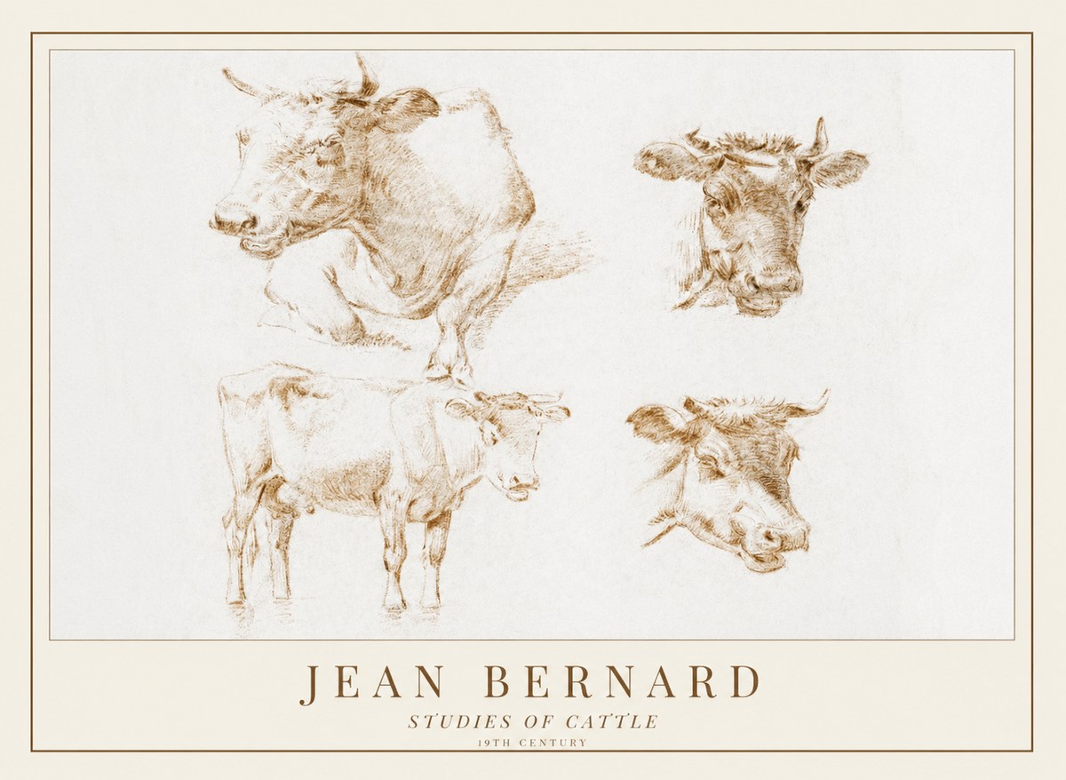 Jean Bernard Studies of Cattle II No1 - Plakat