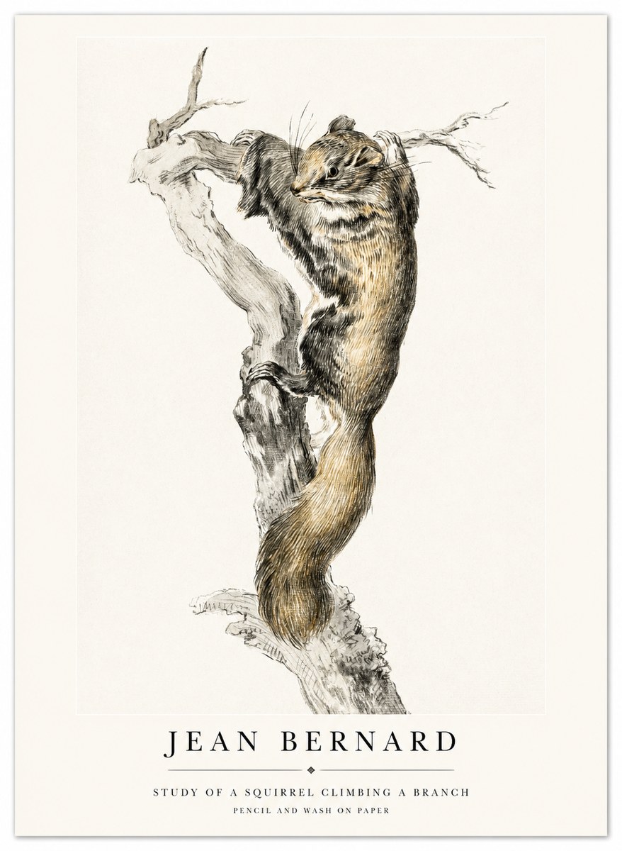 Jean Bernard Study of a Squirrel Climbing a Branch No1 - Plakat