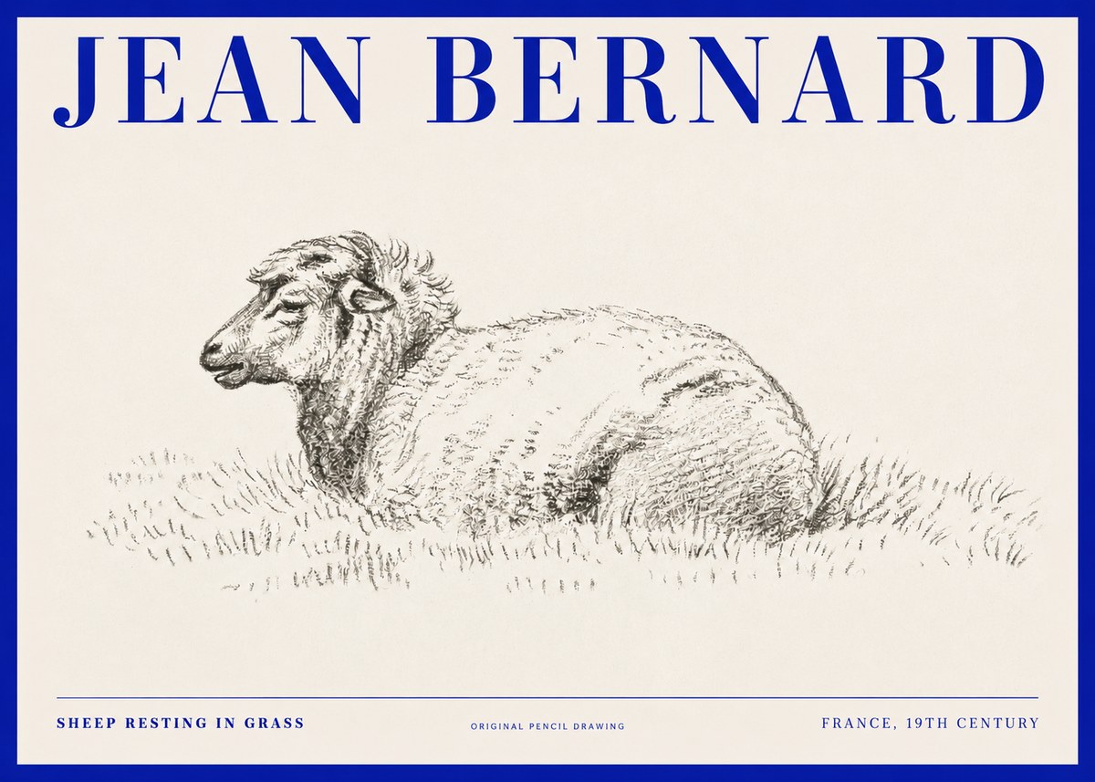 Jean Bernard Sheep Resting in Grass No2 - Plakat