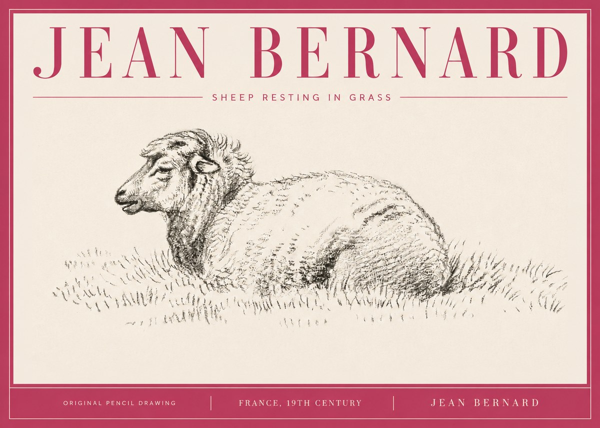 Jean Bernard Sheep Resting in Grass No4 - Plakat