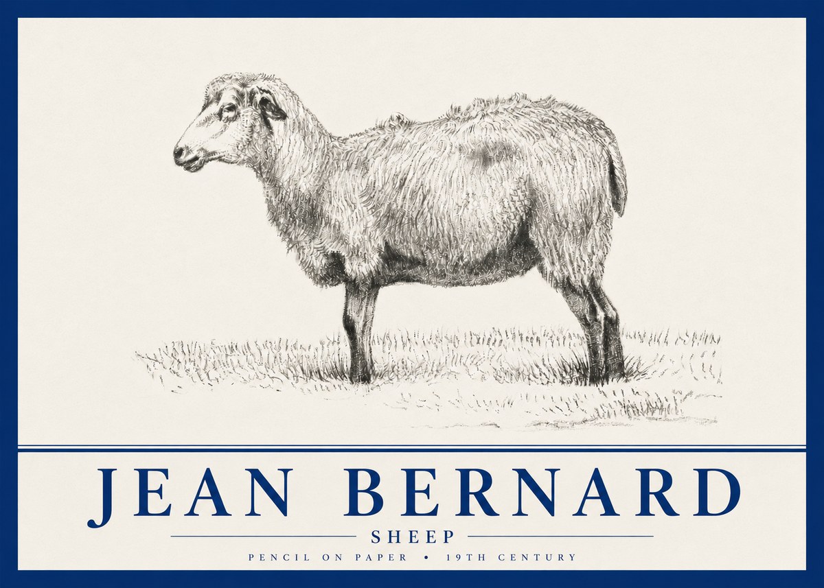 Jean Bernard Sheep No4 - Plakat