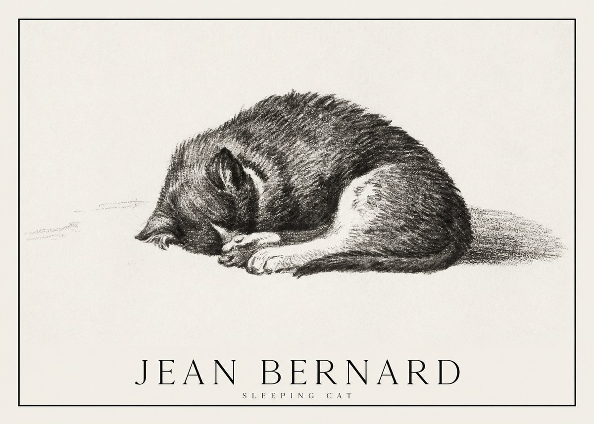 Jean Bernard Sleeping Cat III No1 - Plakat