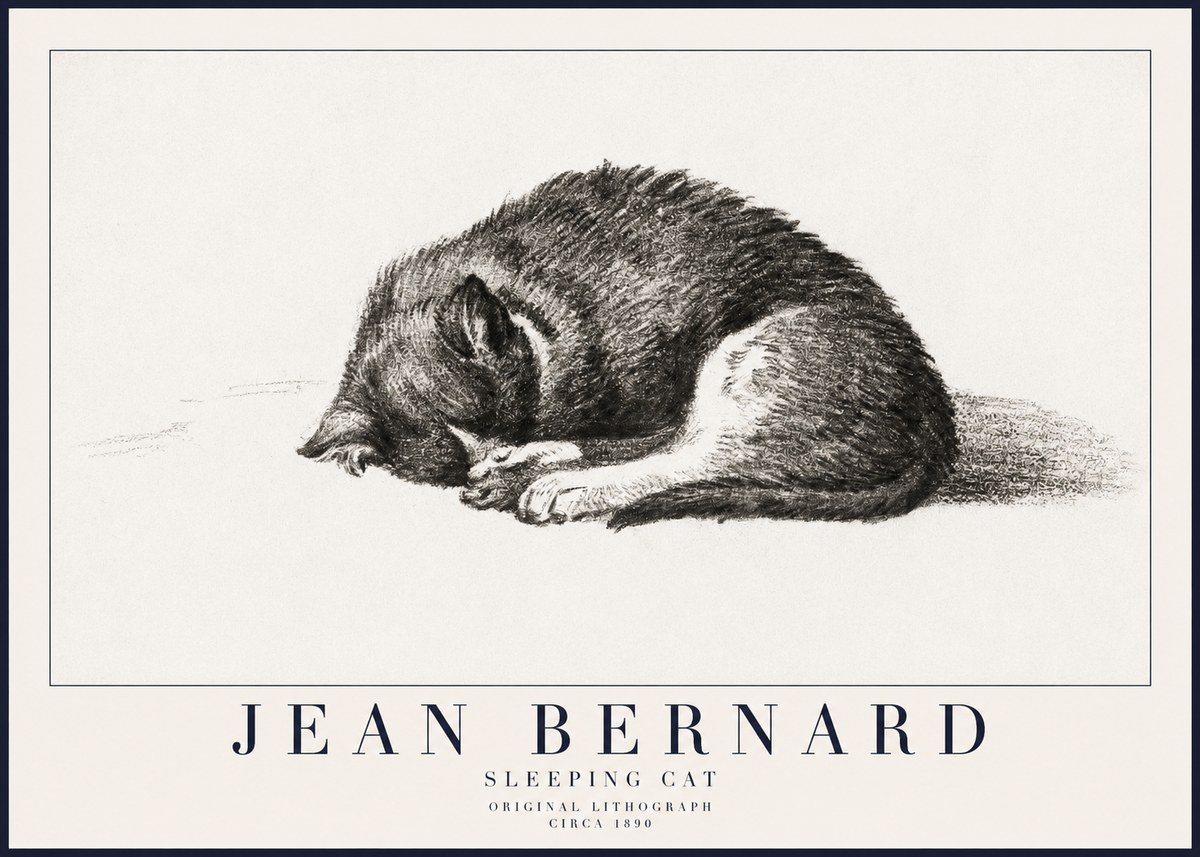 Jean Bernard Sleeping Cat III No6 - Plakat