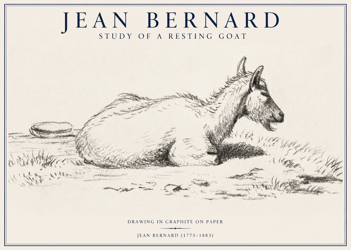 Jean Bernard Study of a Resting Goat No1 - Plakat