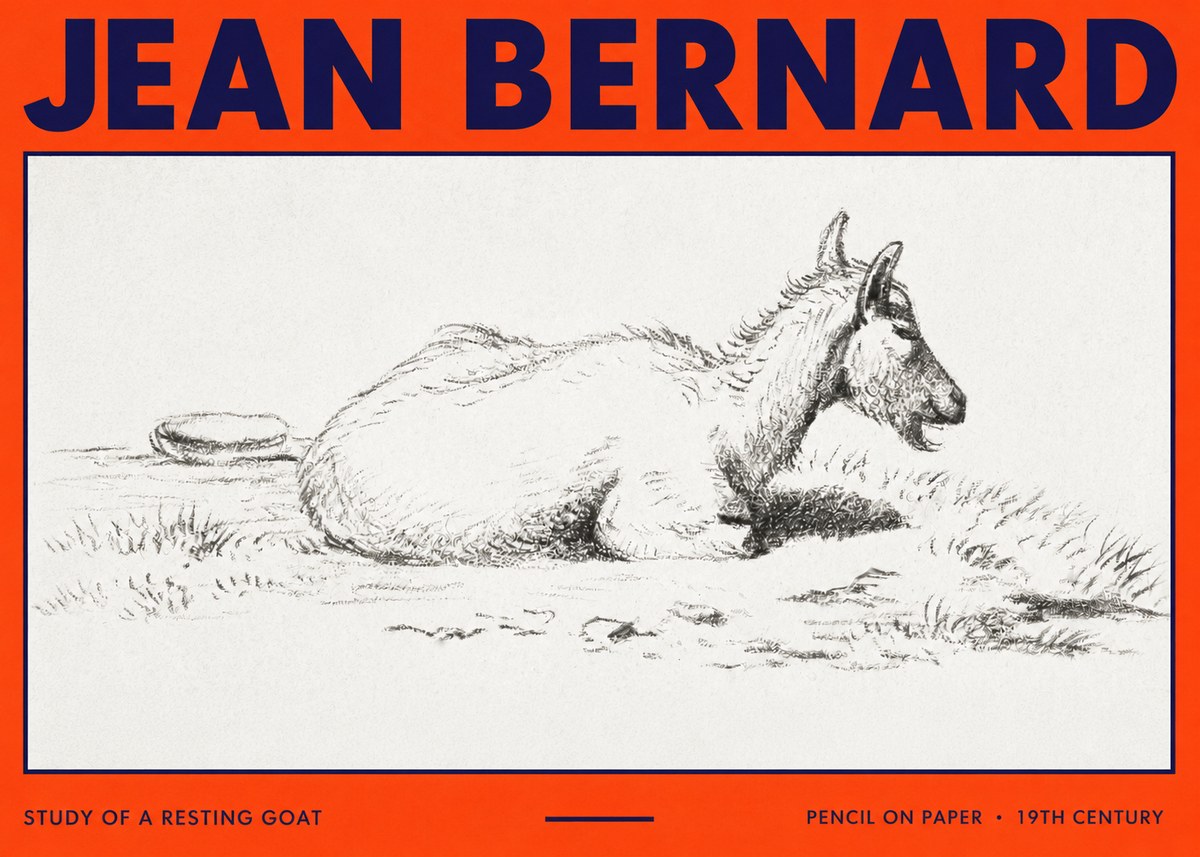 Jean Bernard Study of a Resting Goat No3 - Plakat