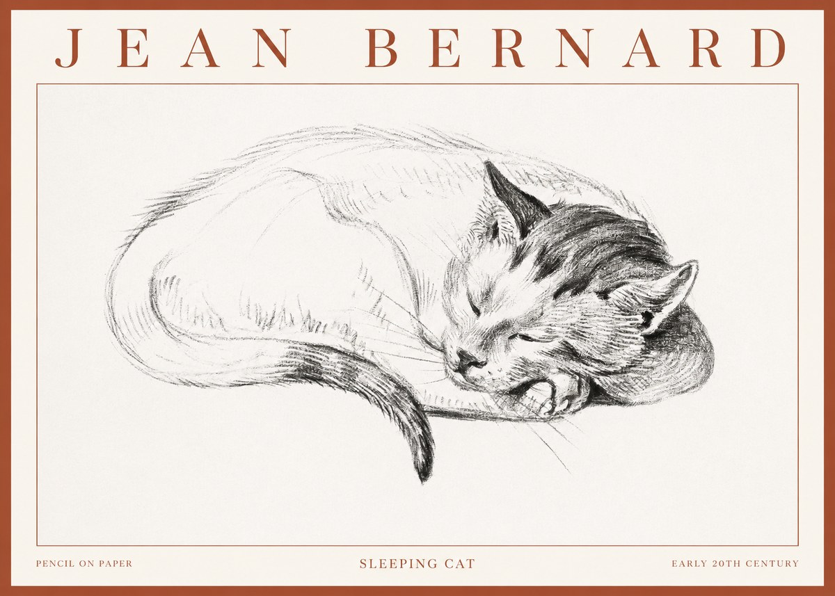 Jean Bernard Sleeping Cat IV No3 - Plakat