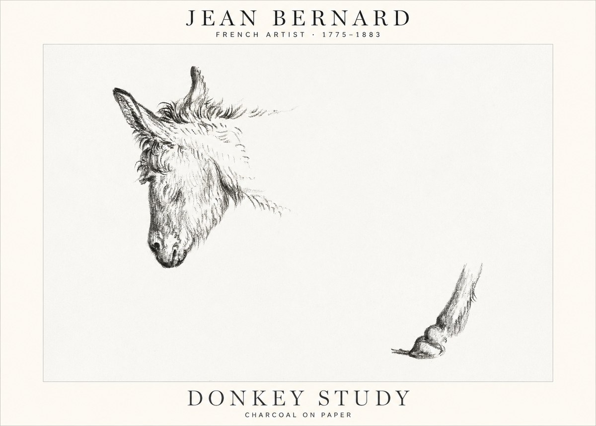 Jean Bernard Study of a Donkey II No2 - Plakat