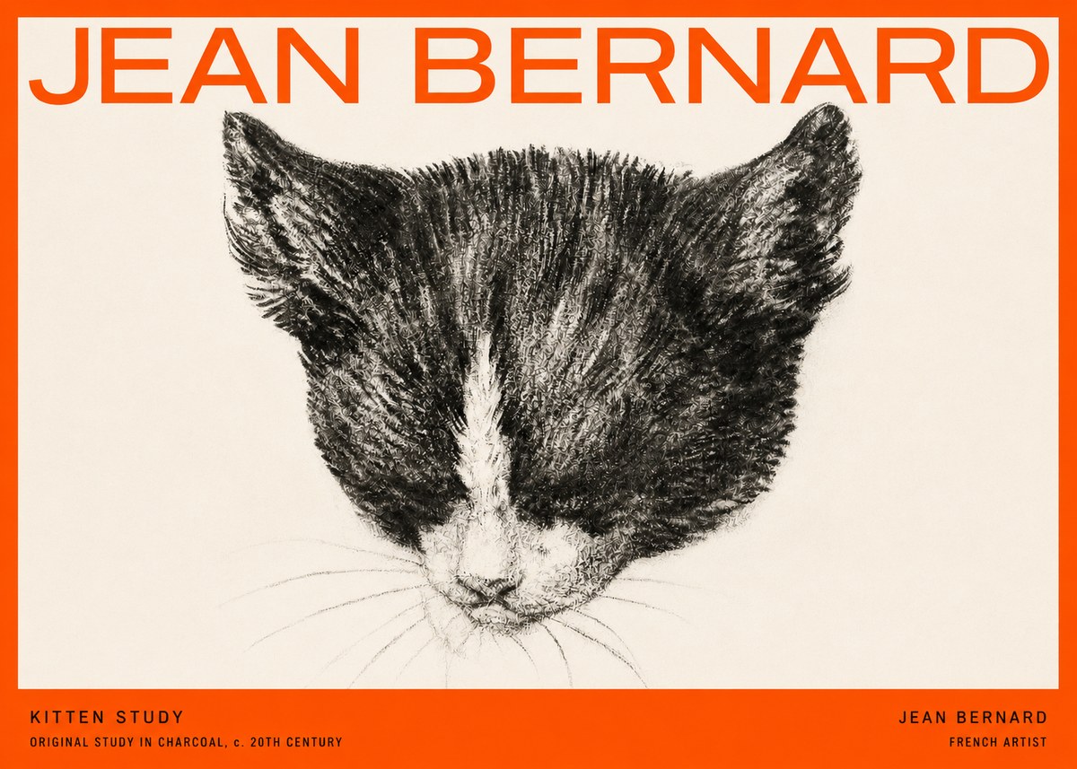 Jean Bernard Cat Study V No5 - Plakat