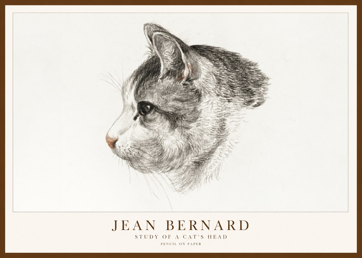 Jean Bernard Cat Study, Profile No2 - Plakat