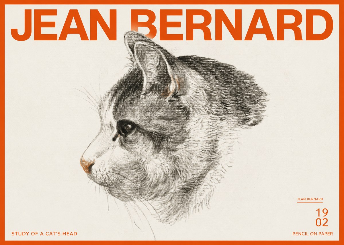 Jean Bernard Cat Study, Profile No3 - Plakat