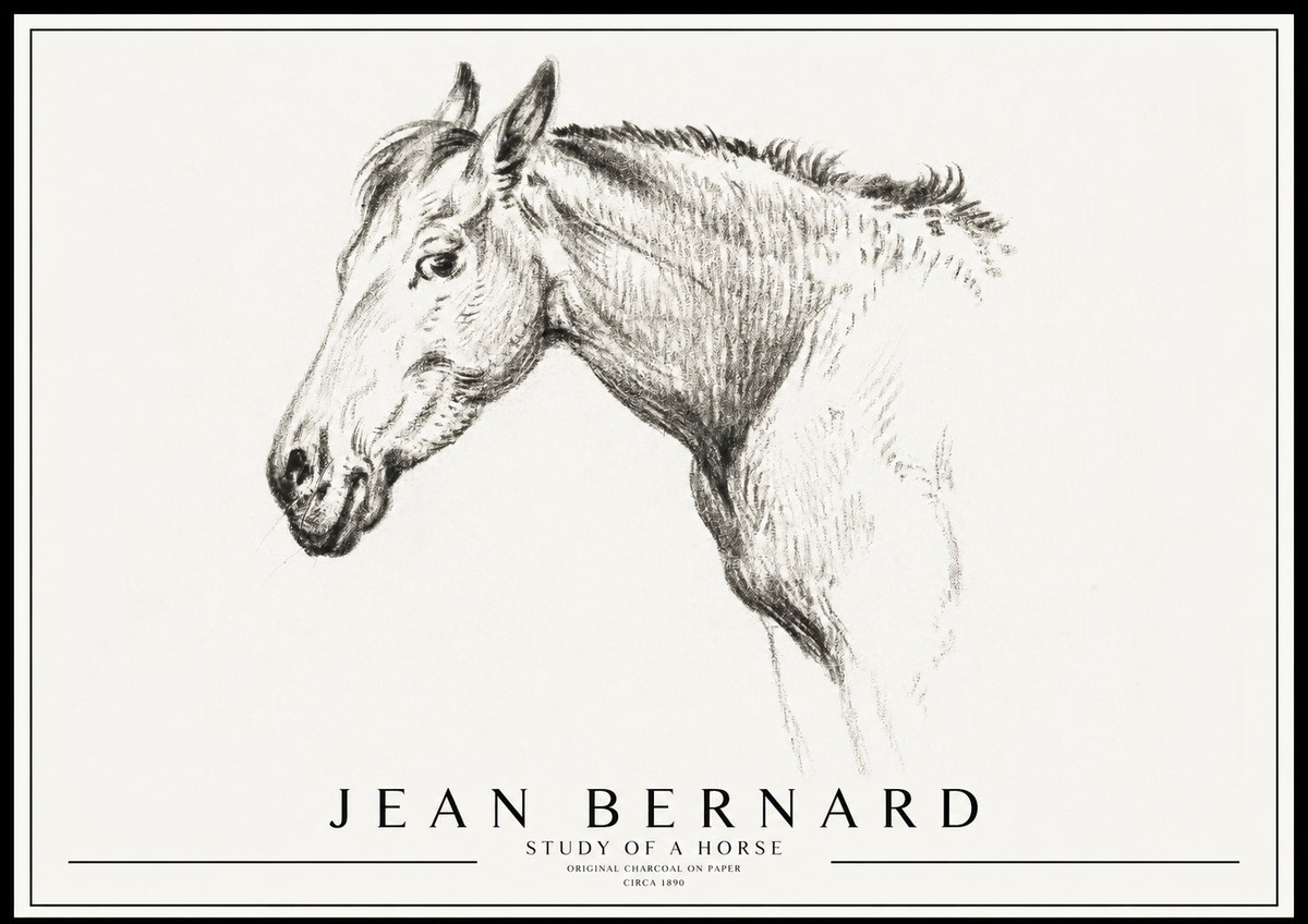 Jean Bernard Study of a Horse VI No3 - Plakat