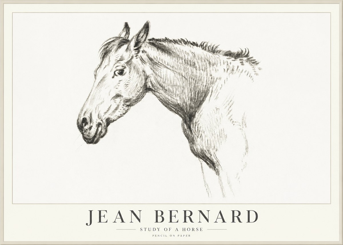 Jean Bernard Study of a Horse VI No4 - Plakat