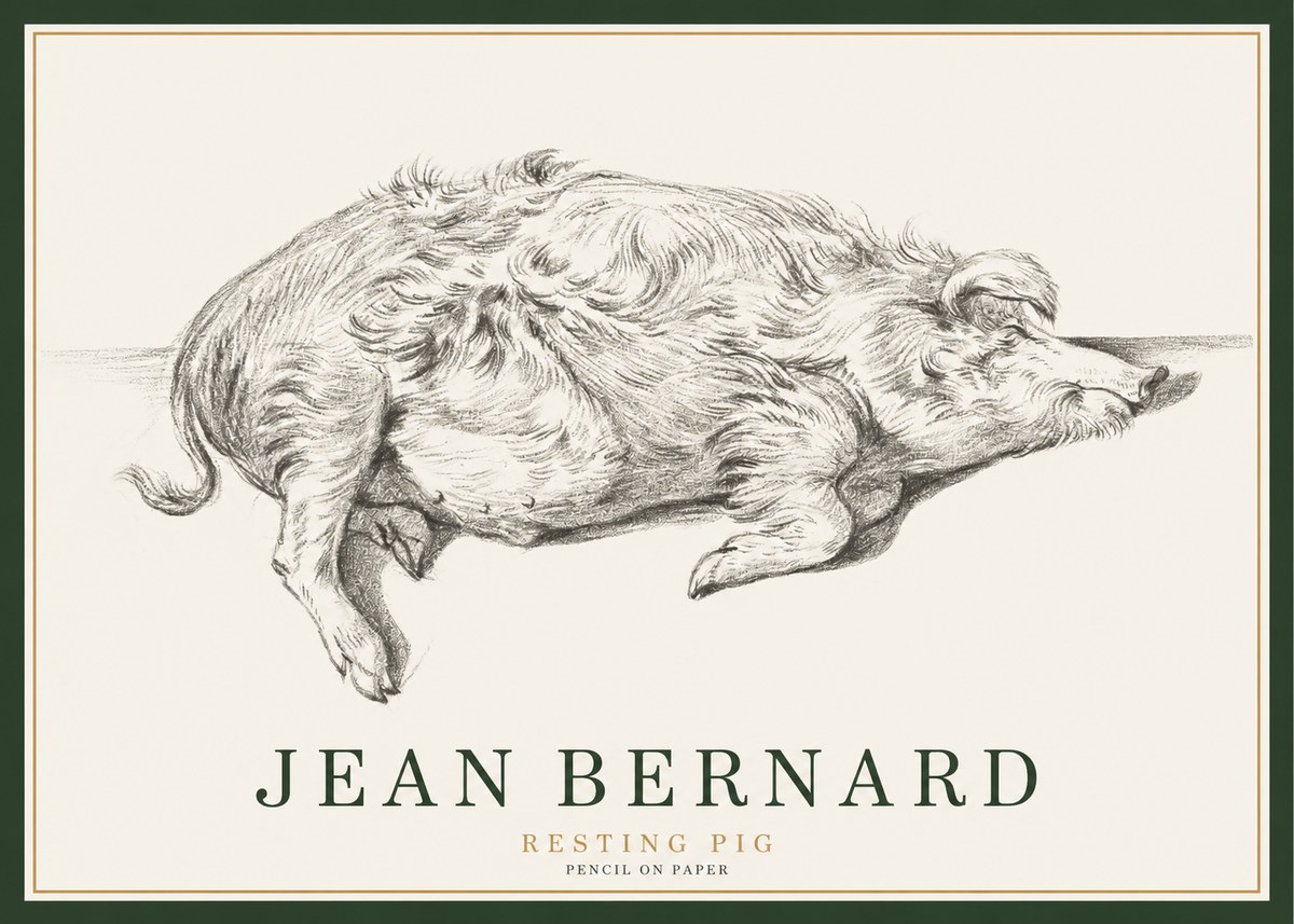 Jean Bernard Study of a Pig I No3 - Plakat