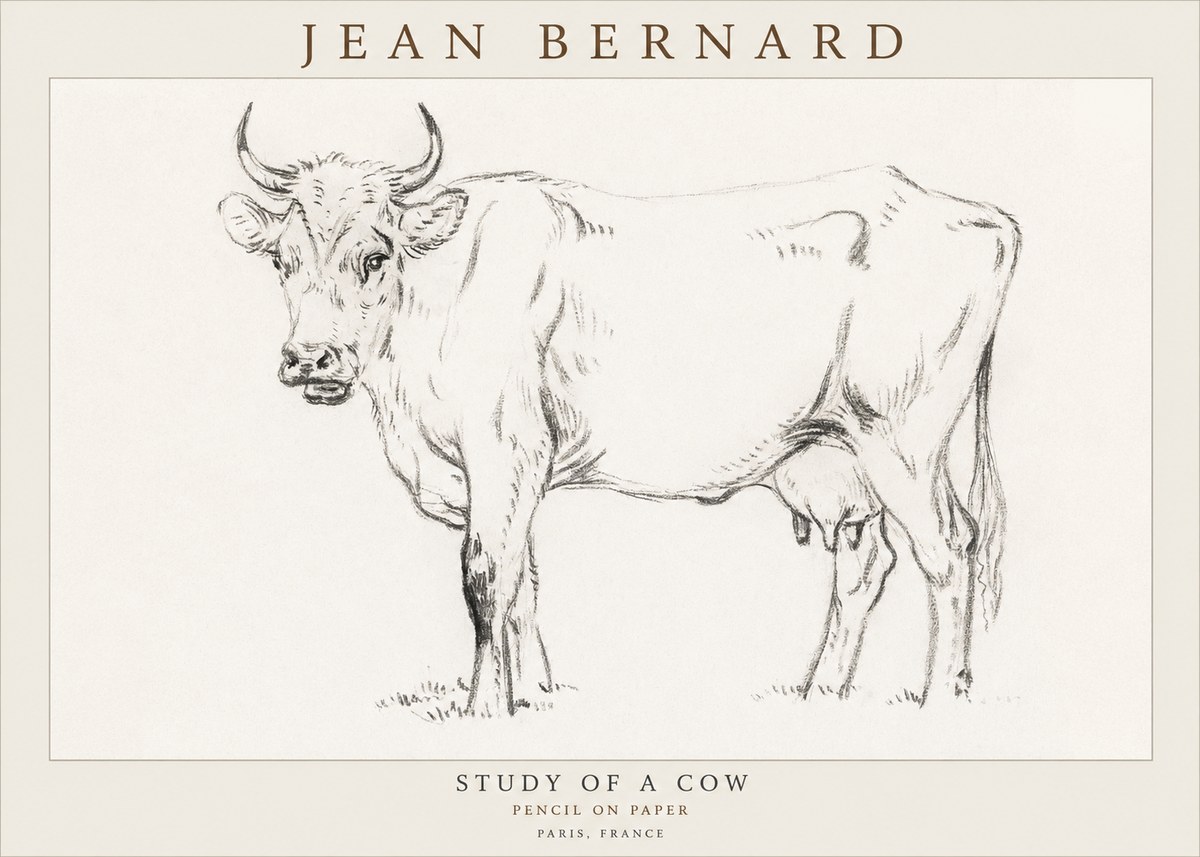 Jean Bernard Study of a Cow VI No3 - Plakat