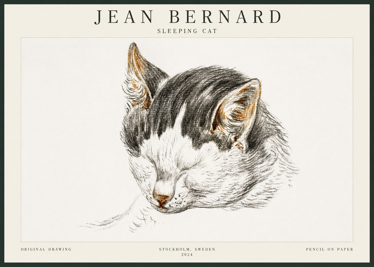 Jean Bernard Sleeping Cat V No3 - Plakat
